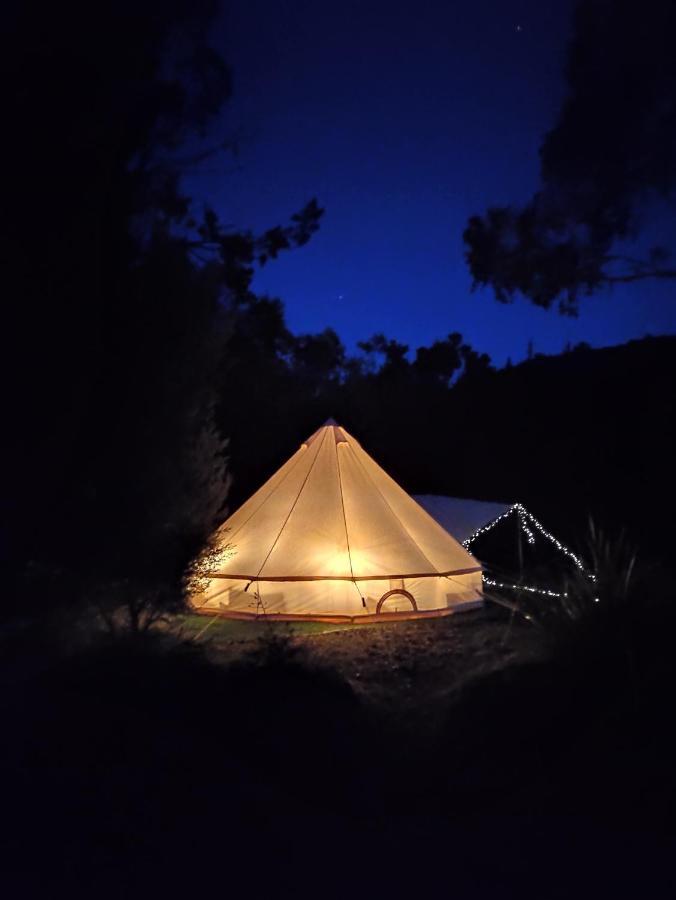 Glamping At Zeehan Bush Camp מראה חיצוני תמונה