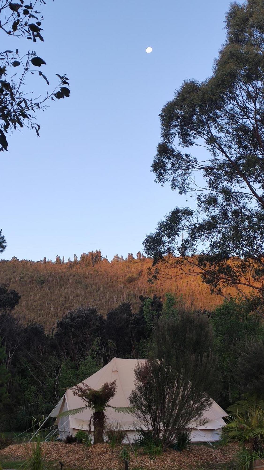 Glamping At Zeehan Bush Camp מראה חיצוני תמונה