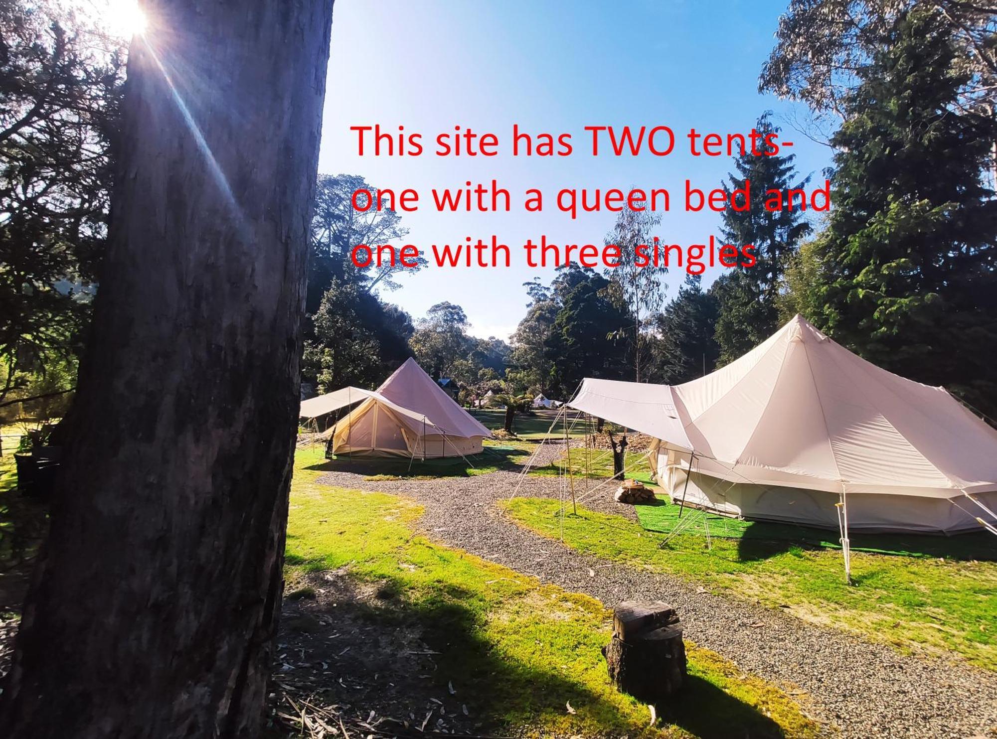 Glamping At Zeehan Bush Camp מראה חיצוני תמונה