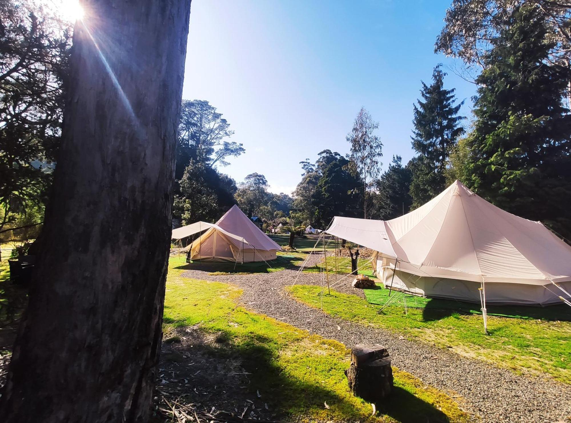 Glamping At Zeehan Bush Camp מראה חיצוני תמונה