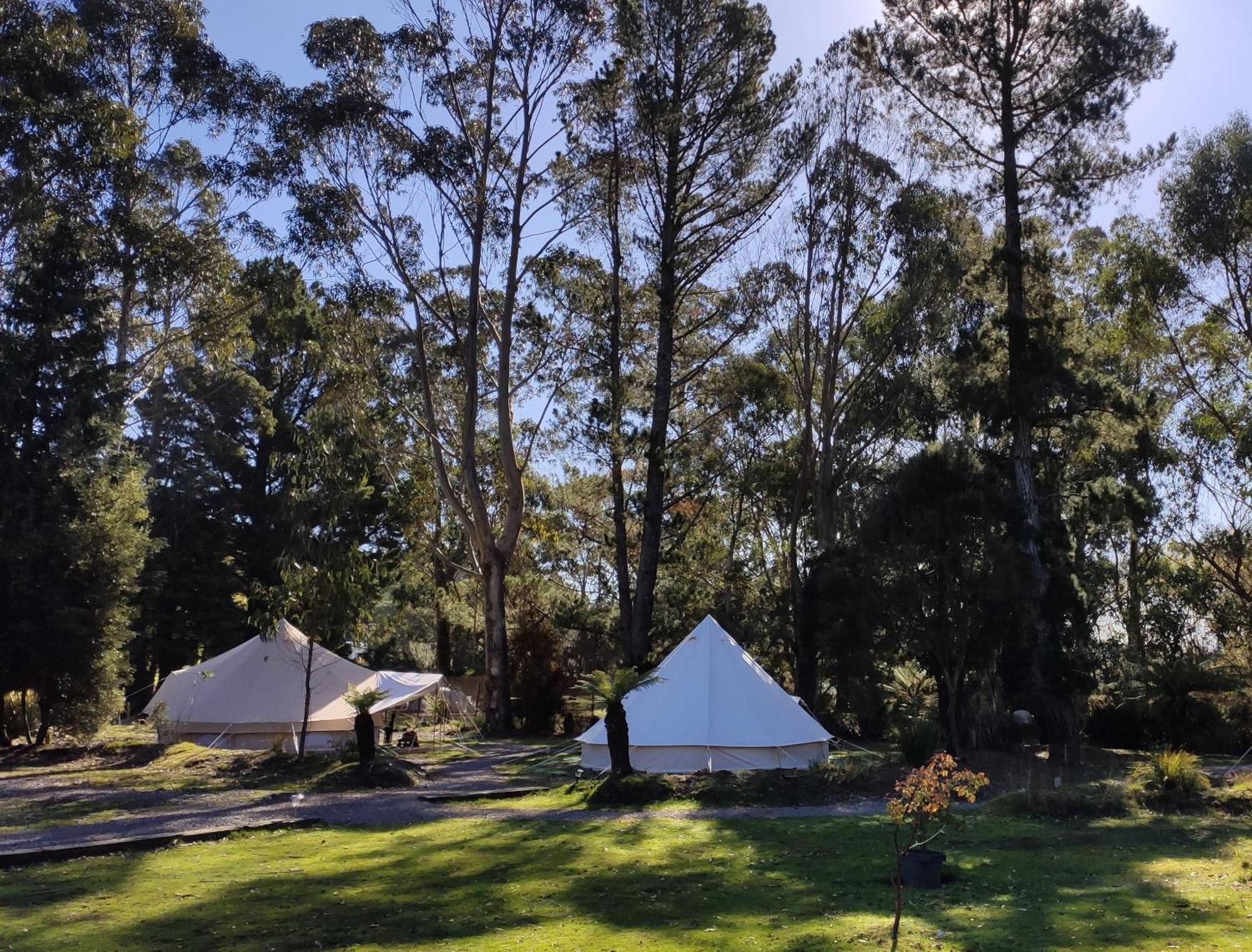 Glamping At Zeehan Bush Camp מראה חיצוני תמונה