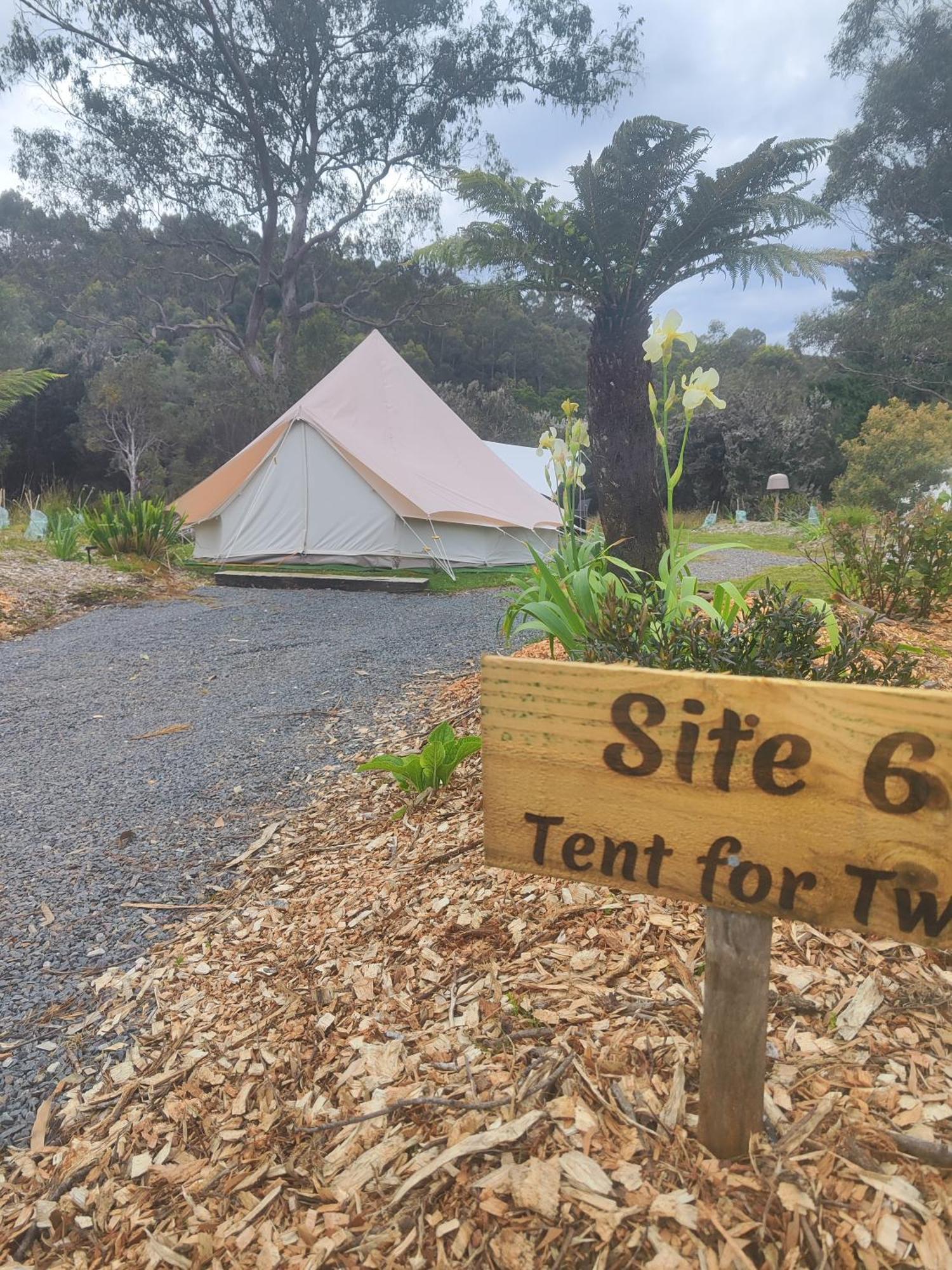 Glamping At Zeehan Bush Camp מראה חיצוני תמונה