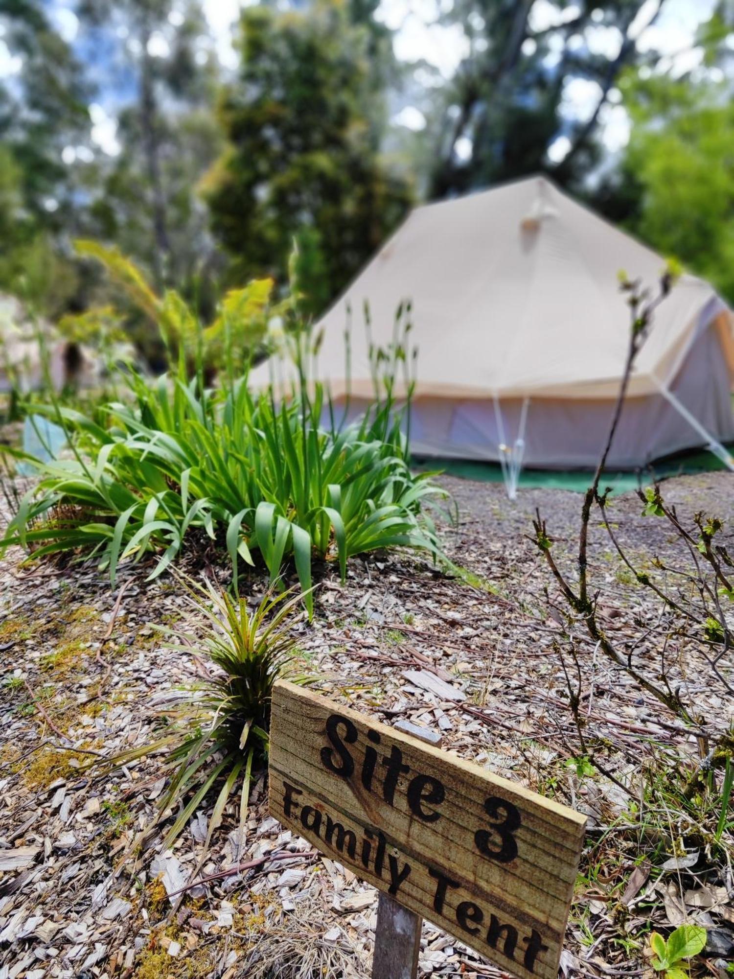 Glamping At Zeehan Bush Camp מראה חיצוני תמונה