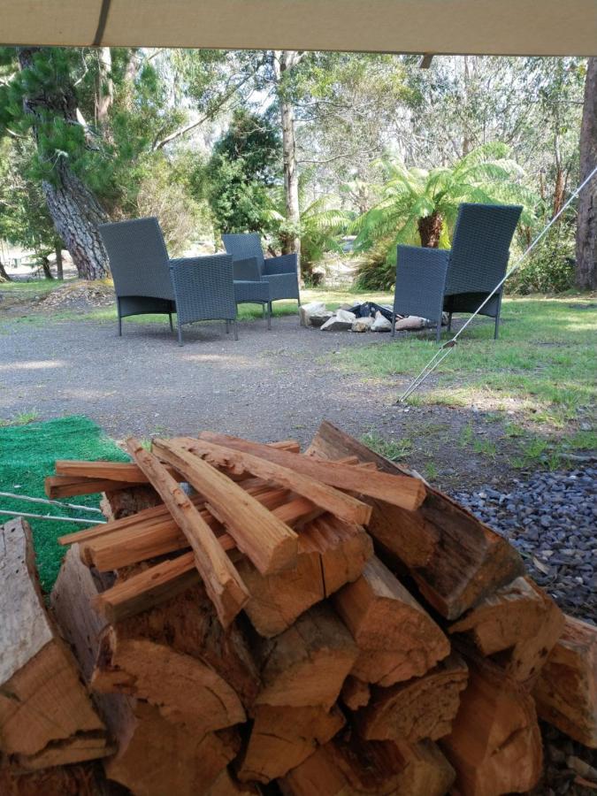 Glamping At Zeehan Bush Camp מראה חיצוני תמונה